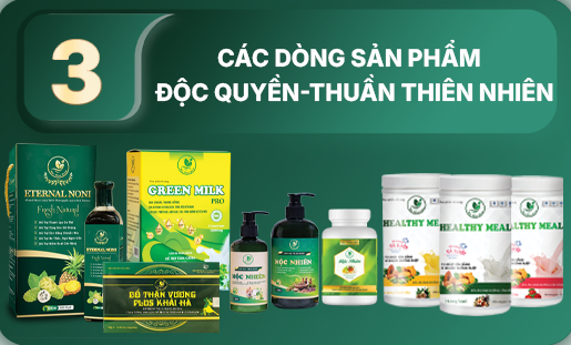 Hạng mục 3